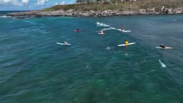Sörfçüler Kürek Çeker Sörf Tahtasına Oturur Sonraki Seti Yakalamak Için — Stok video