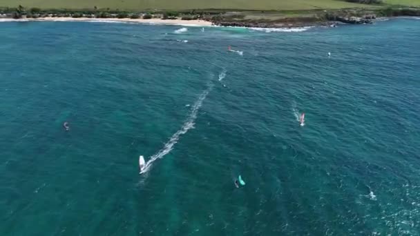 Καβαλάρηδες Ιστιοπλόοι Διασχίζουν Τον Ήρεμο Γαλάζιο Ωκεανό Drone Κυκλώνοντας Okipa — Αρχείο Βίντεο