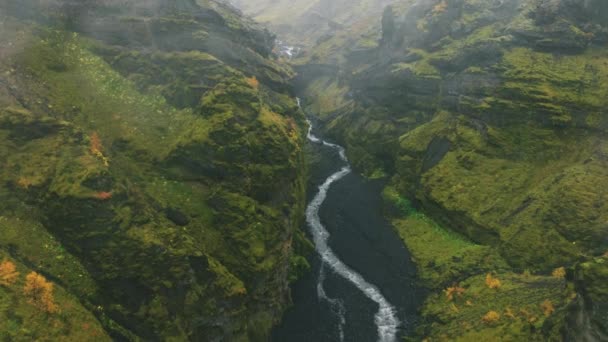 Überflug Über Gewundenen Fluss Der Durch Sattgrüne Schlucht Island Fließt — Stockvideo