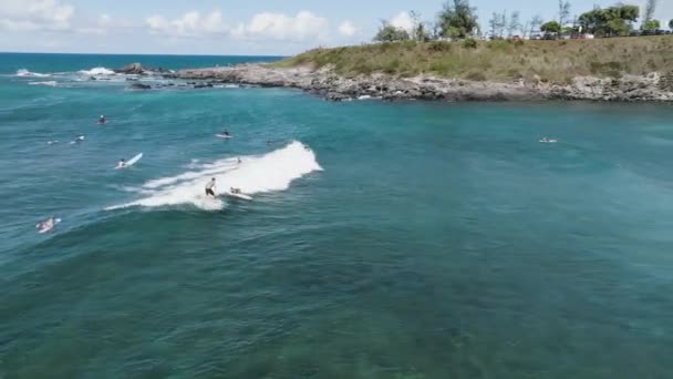 Surfer Hawaï États Unis Vue Aérienne Plage Okipa Sur Côte — Video