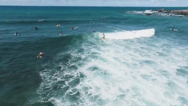Kobieta Surfująca Epickiej Fali Maui Hawaje Usa Dron Krążący Wokół — Wideo stockowe