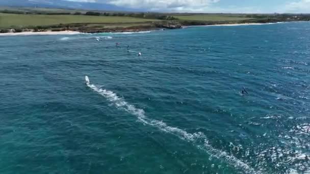 Windsurf Paraíso Hawaii Pan Aéreo Través Las Tranquilas Aguas Azules — Vídeos de Stock