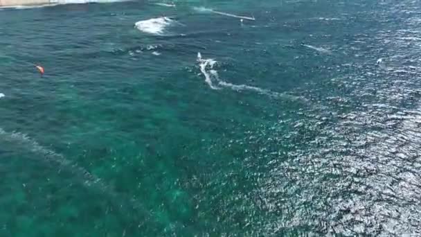 Windsurferzy Wiatraki Skrzydłowe Nabrzeżu Hookipa Maui — Wideo stockowe