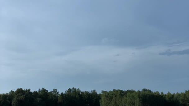 木々の森の風景と共に嵐の前の青い空に雲が形成され — ストック動画