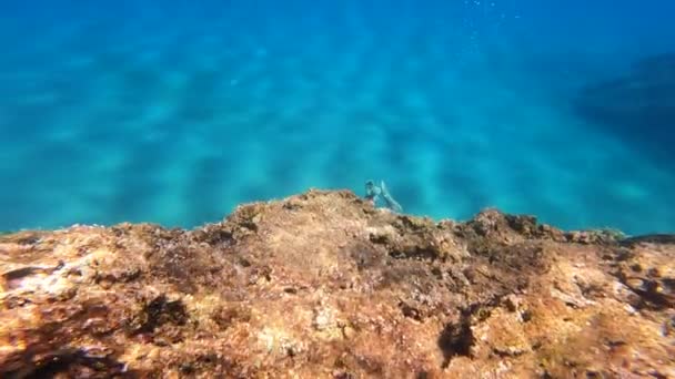 Ung Dykare Simmar Till Havets Botten Bakom Stenig Korall Vattnet — Stockvideo