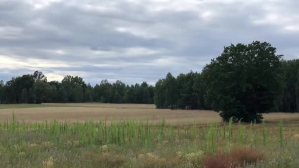 田舎の風光明媚な風景に曇りの空の時間経過 — ストック動画