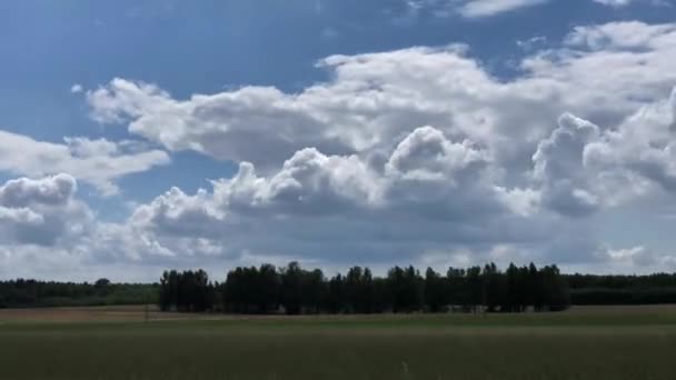 木々の森の緑の畑の上の青い空の雲の時間の経過自然景観汚染されていない田園風景 — ストック動画