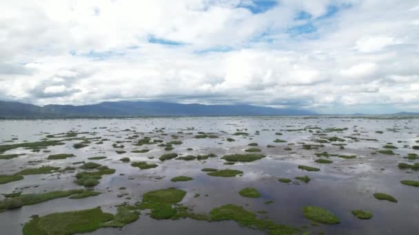 Colpo Aereo Palude Lago Loktak Imphal Manipur — Video Stock