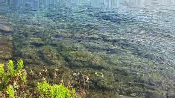 Skaliste Dno Morza Widziane Przez Czystą Wodę Villa Kerylos Museum — Wideo stockowe