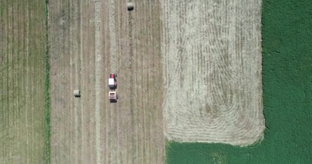 Letecký Stroj Shora Dolů Sklizeň Traktoru Pracující Zemědělské Půdě Inflační — Stock video