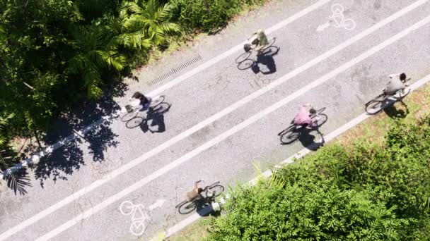 Rowery Rowerzystami Poruszającymi Się Drodze Rowerowej Wewnątrz Lasu Drzewami Trawą — Wideo stockowe