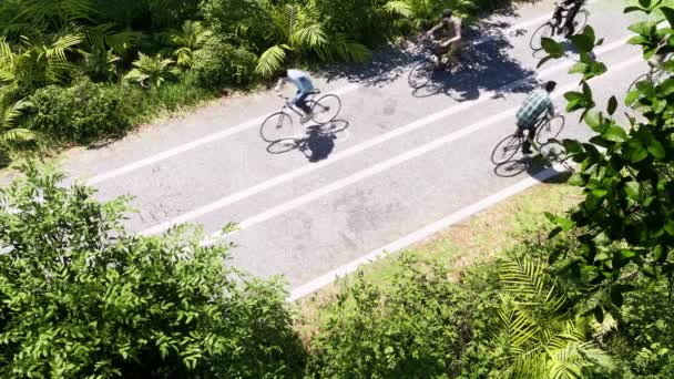 Велосипеды Велосипедистами Движутся Велосипедной Дороге Внутри Леса Деревьями Травой Кустами — стоковое видео