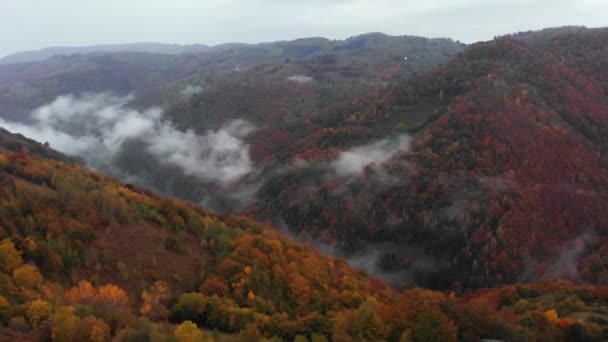 Aerial Tilt Hill Valley Fall Colored Forest Foggy Morning — Stock Video