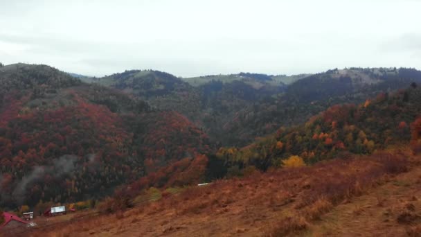 空中俯瞰的少女透露了山谷中秋天的五彩斑斓森林 — 图库视频影像