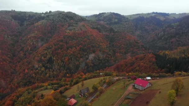 高山山谷中带秋天色彩森林的房子的空中平底锅 — 图库视频影像