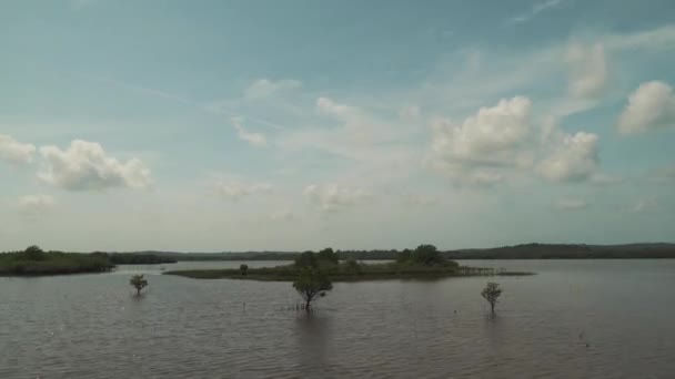 Статичний Темпелапсис Знімає Прекрасне Озеро Деревами Стоять Воді Бачить Природу — стокове відео