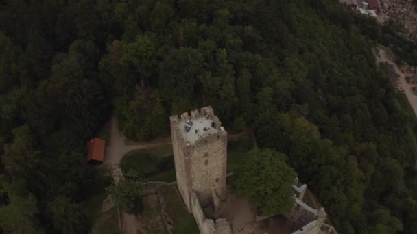 Drone Záběry Waldkirch Německu Pevností Horami Černém Lese — Stock video