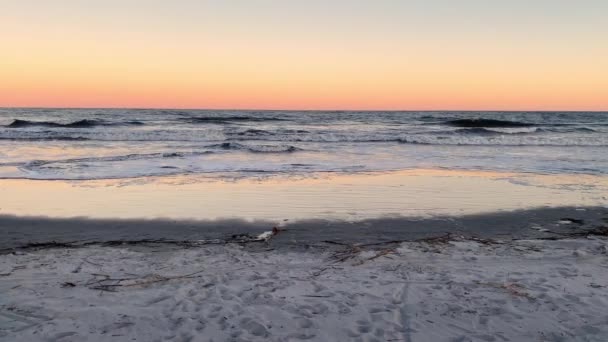 美しい色と光でサウスカロライナ州ヒルトンヘッド島の魔法のような 美しい夕日 — ストック動画