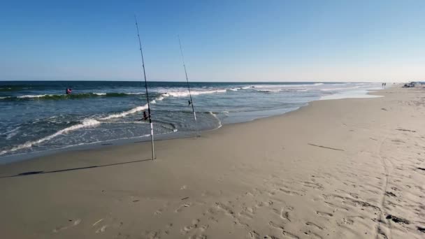 Kuzey Carolina Daki Hilton Head Adası Nda Sörf Balıkları — Stok video