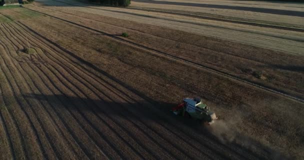 Coucher Soleil Aérien Machine Récolte Tracteur Récoltant Une Ferme Plantation — Video