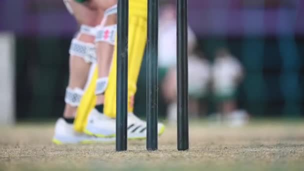 Kriket Oyuncularının Birleşik Arap Emirlikleri Nde Kriket Sahasında Akşam Antrenmanları — Stok video