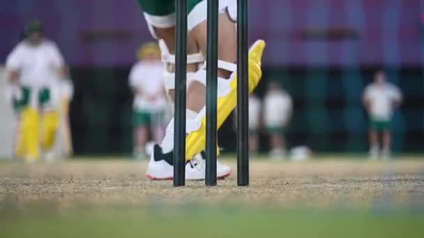 Giocatori Cricket Hanno Sessioni Serali Prove Nette Campo Cricket Negli — Video Stock