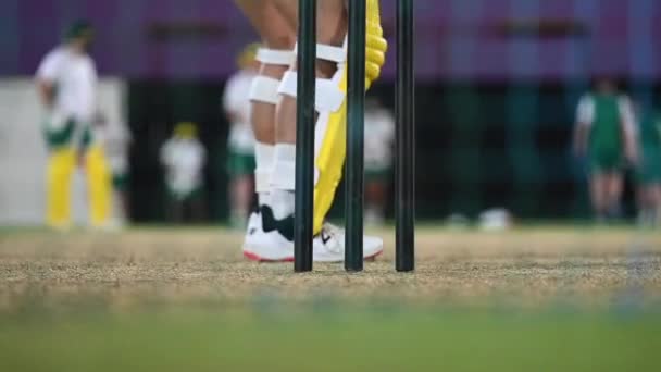 Pemain Memiliki Sesi Latihan Bersih Malam Lapangan Kriket — Stok Video