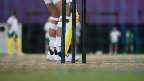クリケット選手はアラブ首長国連邦のクリケット場で夜のネット練習セッションを持っています — ストック動画