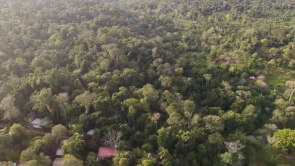 阿根廷亚马逊热带雨林中的Iguazu港郊区与Mbya Guarani人的空中飞越 — 图库视频影像