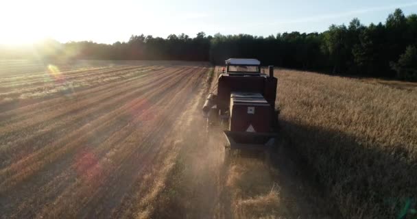 밀밭에서 농장에서 일하고 수확용 트랙터붉은 기계의 — 비디오