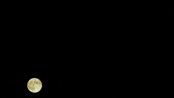 Krótki Czas Upływu Pełni Księżyca — Wideo stockowe