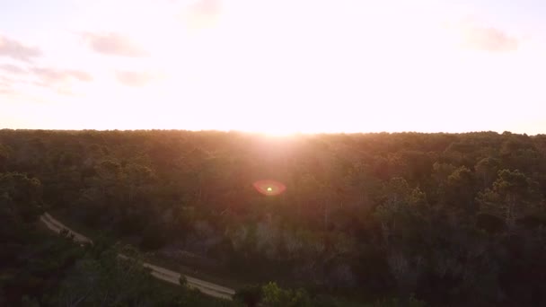 Zachód Słońca Przelatujący Nad Drzewami — Wideo stockowe