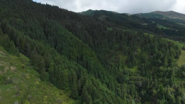 Sobrevolando Bosque Verde Impresionante Macizo Del Cráter Las Azores — Vídeos de Stock