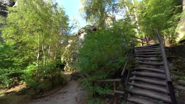ボヘミアの楽園 チェコ ヨーロッパの自然の中で岩の間の木製の階段 — ストック動画