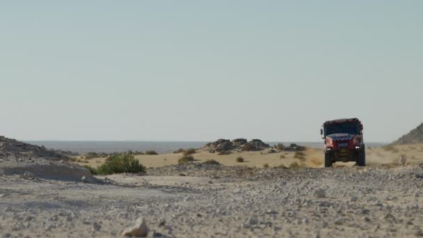 Iveco Raid Truck Wyścigi Road Cross Country Dakarze Rajd Pustyni — Wideo stockowe