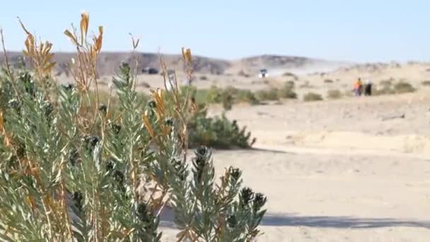 Автомобиль Гонится Грузовиком Мчащимся Через Пустыню Дакар — стоковое видео