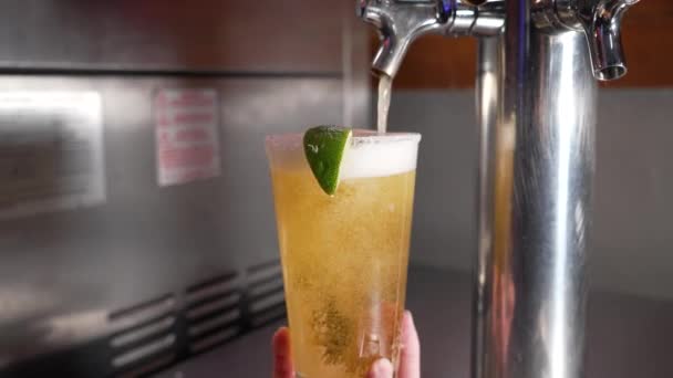 Bartender Fills Pint Glass Dressed Lime Wedge Foamy Draft Beer — Stock Video