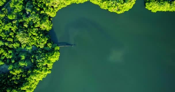 从空中向下拍摄的生锈的漏水管道流入被红树林环绕的湖中 倾倒污水 — 图库视频影像