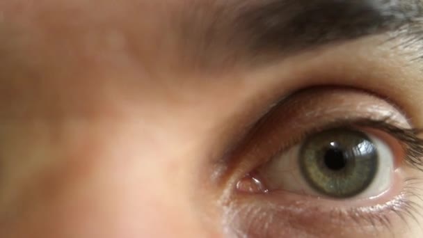 Olhos Verdes Sobrancelhas Olhando Para Câmera Rosto Humano Expressões — Vídeo de Stock