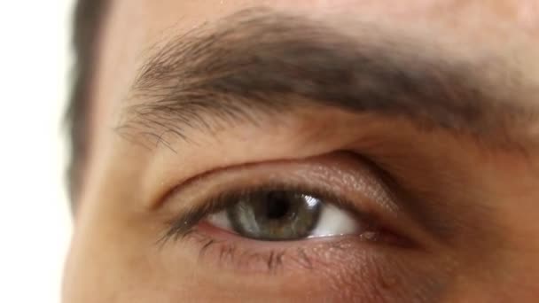 Nahaufnahme Eines Grünen Männlichen Auges Und Einer Augenbraue Die Die — Stockvideo