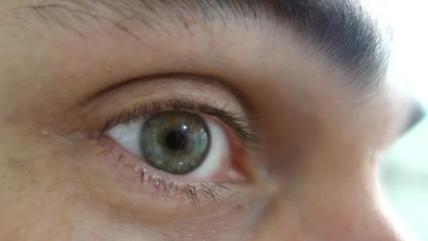 Vista Lateral Primer Plano Del Ojo Ceja Humanos Verdes Iris — Vídeos de Stock