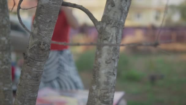 Powolny Ruch Aparatu Widokiem Przez Gałęzie Indiańskiej Modelki Ubranej Czerwony — Wideo stockowe