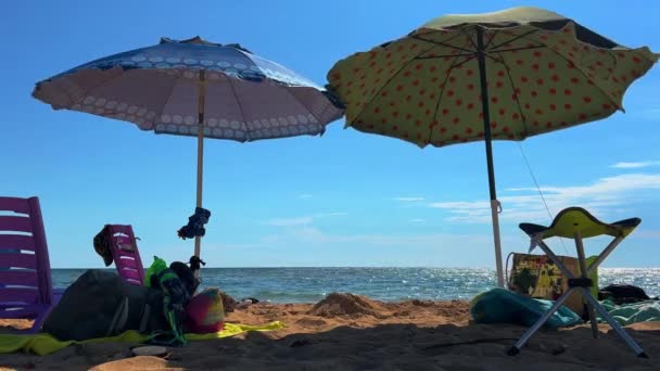Escena Verano Playa Con Sombrillas Abiertas Sillas Vacías Tumbonas Vista — Vídeo de stock