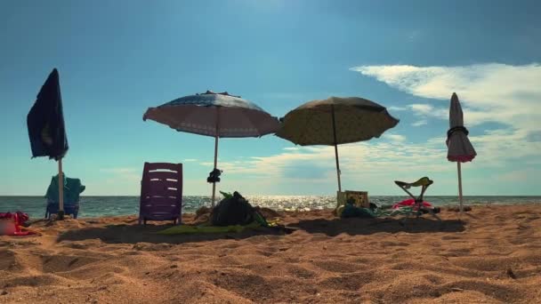 Літня Сцена Пляжі Відпочинку Концепція Сонячними Парасольками Стільці Стілець Вітряний — стокове відео