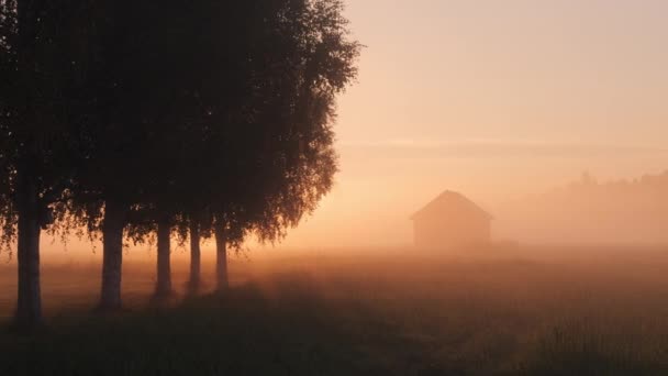 Slow Dolly Right Rural Field Foggy Καλοκαιρινό Πρωινό Φινλανδία — Αρχείο Βίντεο