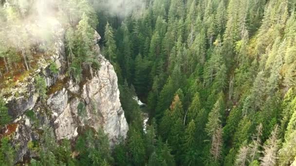 Aşağıdan Akan Bir Nehirle Sisli Bir Kanyondan Yukarı Doğru Uçan — Stok video
