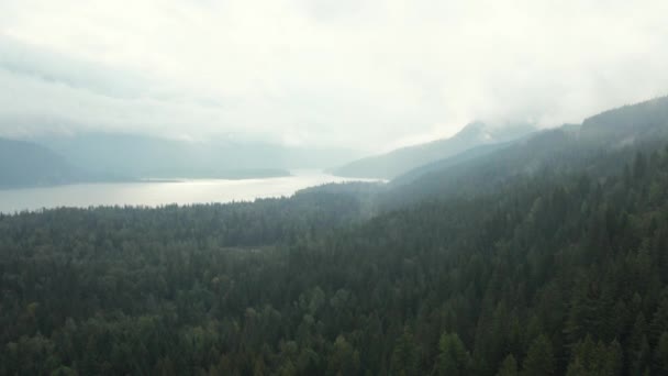 Wolna Lalka Powietrzna Przez Mgłę Nad Jeziorem Upper Arrow Kanada — Wideo stockowe