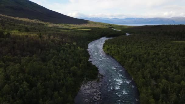 Río Que Fluye Través Espeso Bosque Pinos Círculo Ártico Suecia — Vídeos de Stock
