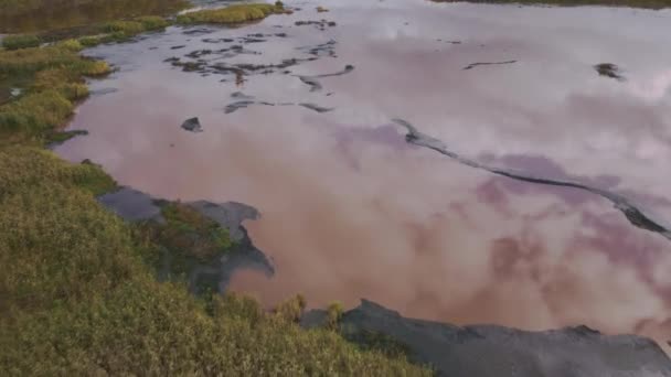 Drone Voa Baixo Sobre Superfície Lago Lodo Cor Não Natural — Vídeo de Stock