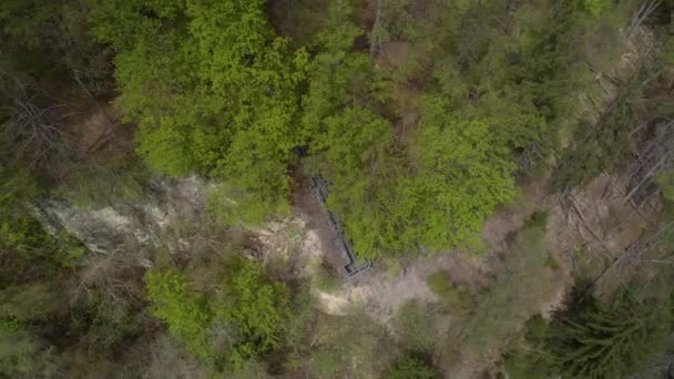 Вид Воздуха Смотровую Башню Лестницами Скалах Лесной Природы Место Отдыха — стоковое видео